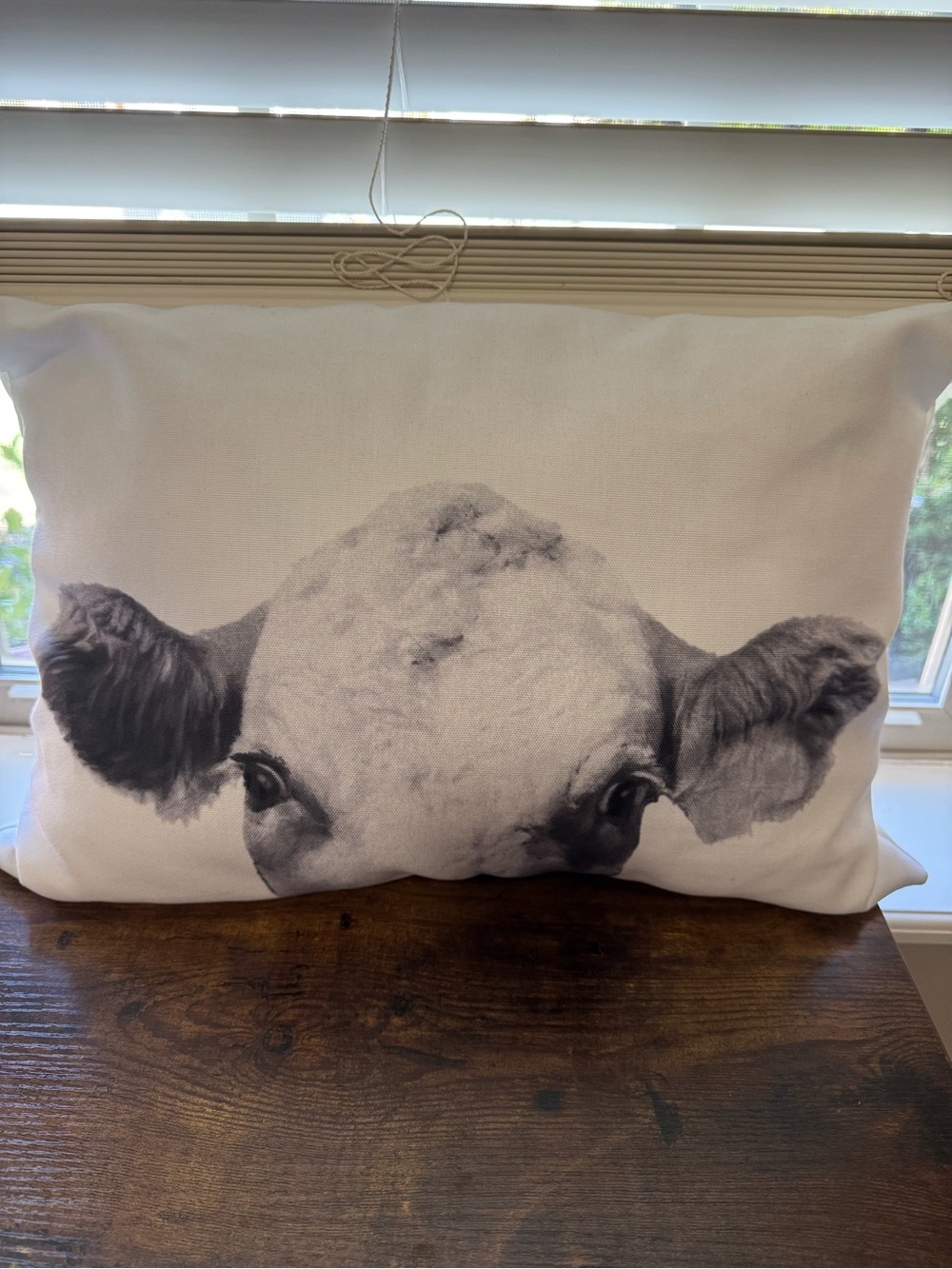 NWOT Rustic Calf Cow Face Lumbar Indoor Outdoor Accent Pillow 12"x18"